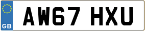 Truck License Plate